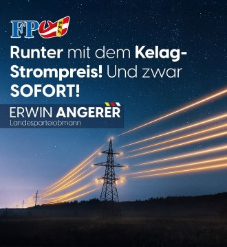 Seit Jahren fordert die FPÖ eine spürbare Senkung der Strompreise in Kärnten