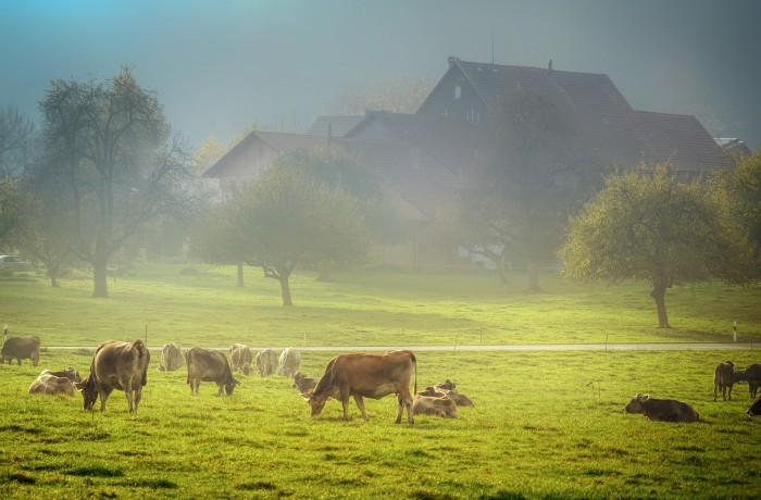 Zwangsumwidmungen durch die Gemeinde sind ein Skandal!