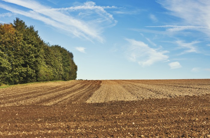 Eine stabile Finanzierung im landwirtschaftlichen Bereich ist wichtig