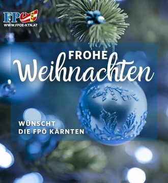 Wir wünschen ein besinnliches Weihnachtsfest im Kreise eurer Familien 🎄💫