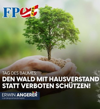 🌳 Die Natur und unsere Wälder sind das grüne Herz Österreichs, ein unersetzlicher Erholungsraum für unsere Familien und das Fund...