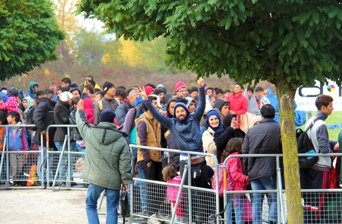 Regierung muss sofortigen Zuwanderungsstopp umsetzen!