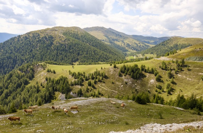 Initiative zum Schutz der Almen und Berggipfel vor Zerstörung