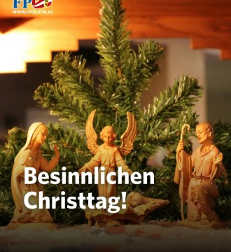 Wir wünschen einen schönen, ruhigen Christtag ✨
