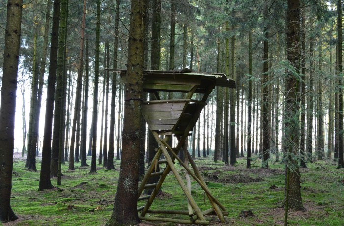 Statt sich wirklich für die Bauern einzusetzen, stellt Benger seine Unwissenheit in Bezug auf Wolf, Bär und Luchs zur Schau!