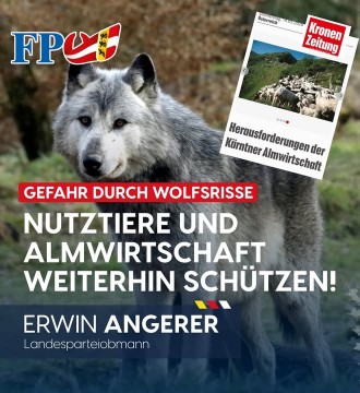 🐺 Der Wolf bleibt in Kärnten ein großes Problem für unsere Bauern und die Almwirtschaft